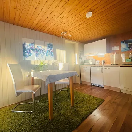 شقة Charmante Ferienwohnung Direkt Im Ski- Und Wandergebiet شوارزنبرغ